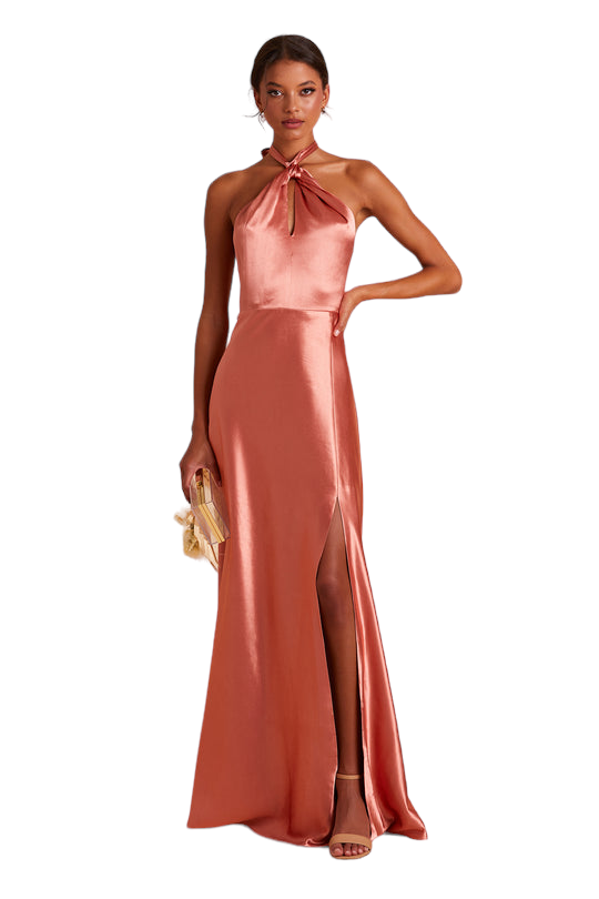 Birdy Grey Monica Terracotta Shiny Satin Dress