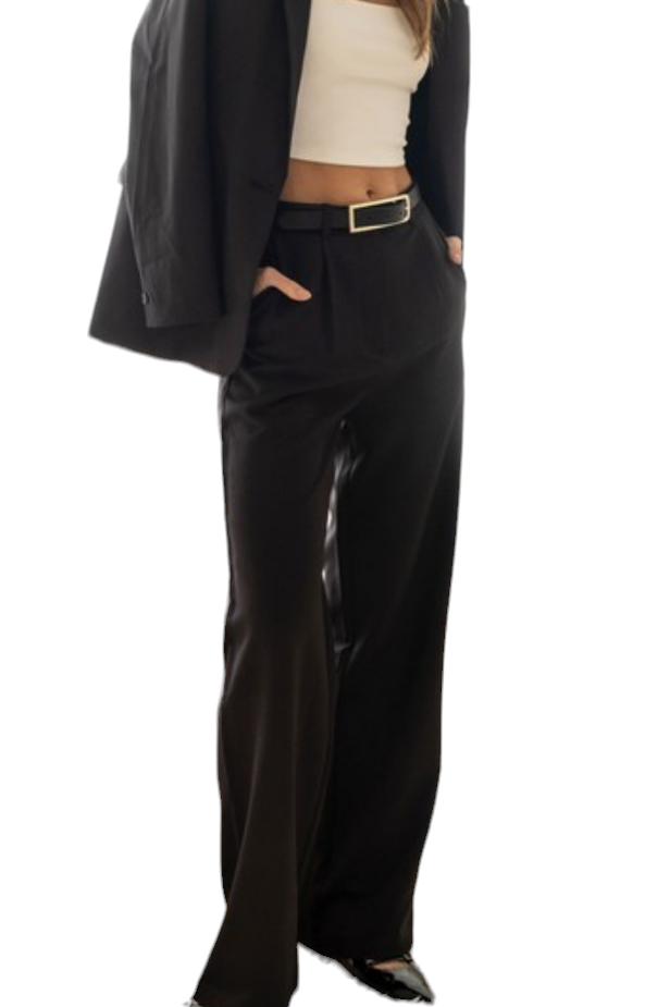 Black High Waisted Wide Leg Dress Pant Slacks – Luscious Boutique
