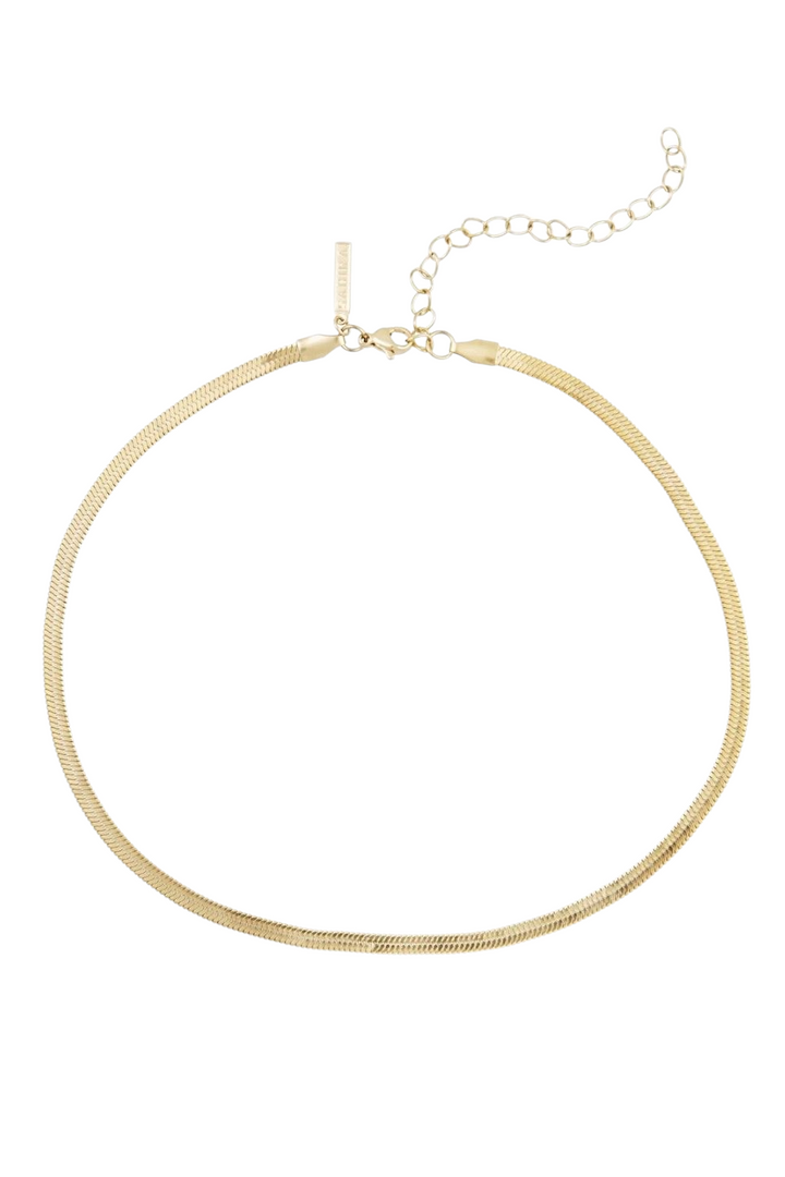 Jax 5mm Gold Necklace