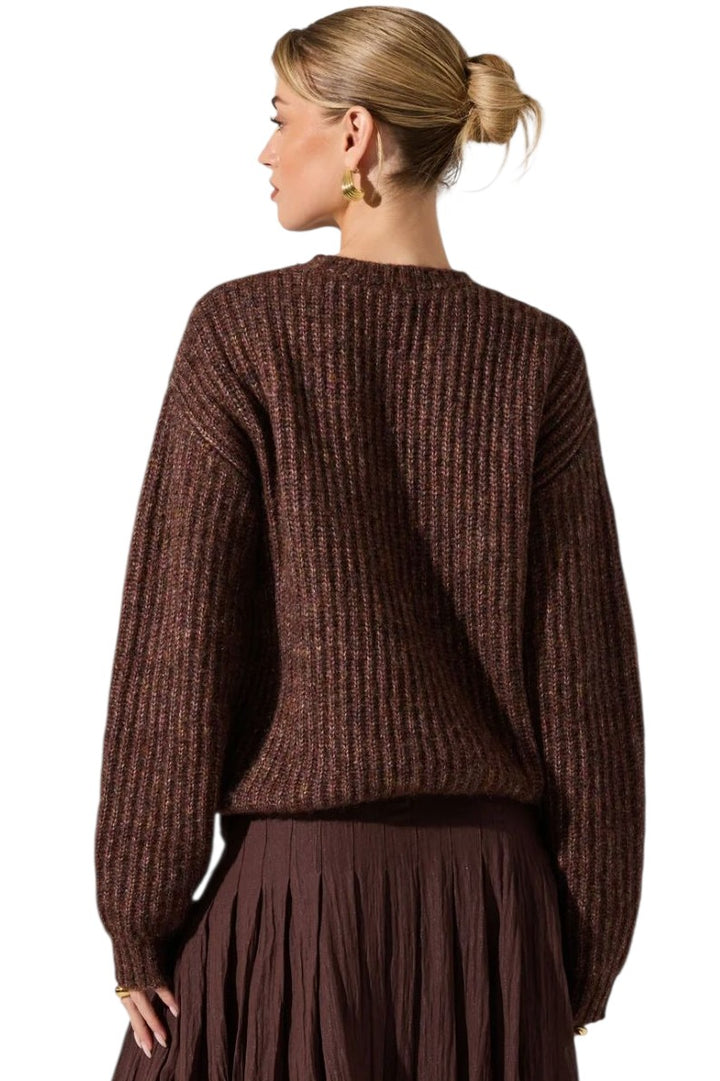 Astr Archer Brown Multi Crewneck Sweater