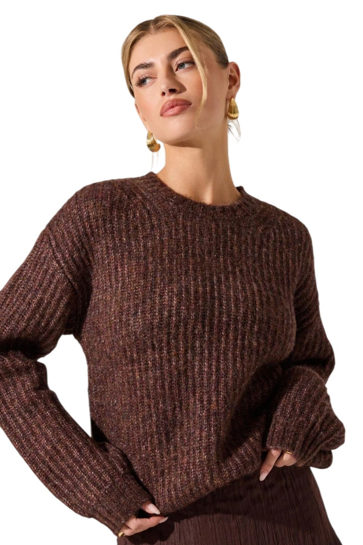 Astr Archer Brown Multi Crewneck Sweater