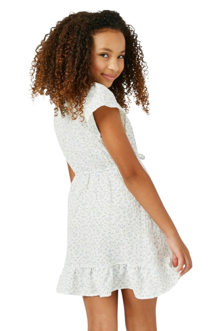 Girls Cream & Blue Floral Ruffle Mini Dress