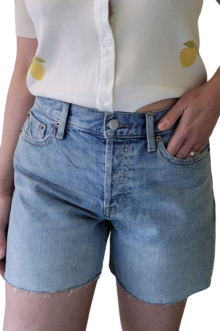 Pistola Andie High Rise Vintage Cut Off Denim Jean Shorts