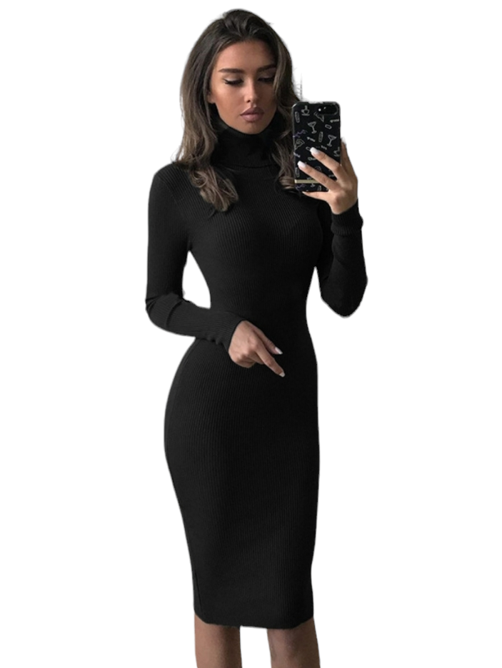 Black Turtleneck Slim Fit Knee Length Dress